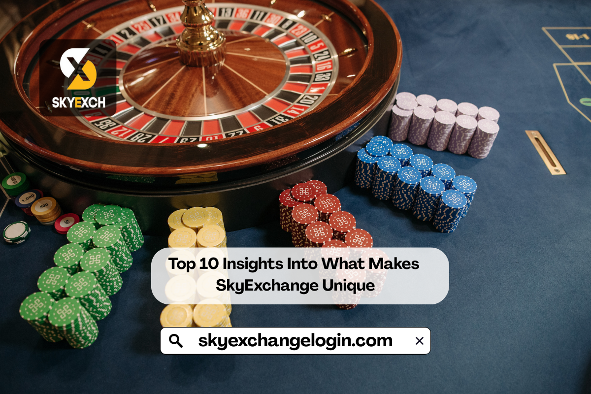 Top 10 Insights Into What Makes SkyExchange Unique