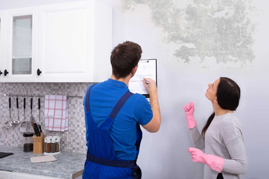 Mold Inspection Atlanta