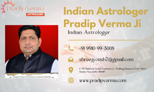 best astrologer in India