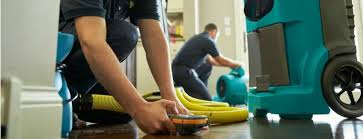 basement water restoration Hamilton