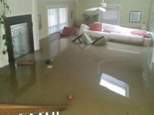What Are the Common Causes of Water Damage in Homes?