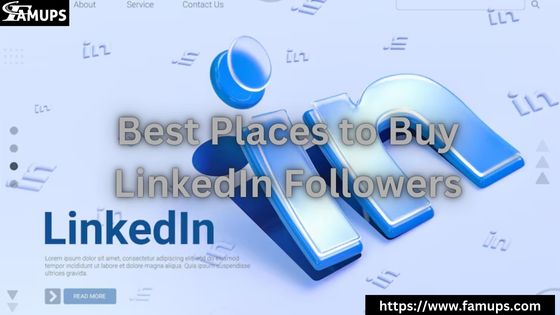 Best Places to Buy LinkedIn Followers