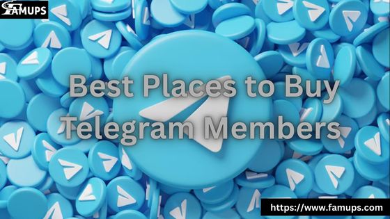 Best Places to Buy Telegram Members