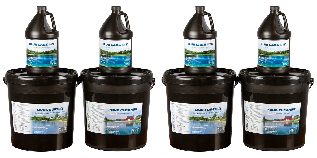 Is Your Pond Cleaned and Treated Properly?