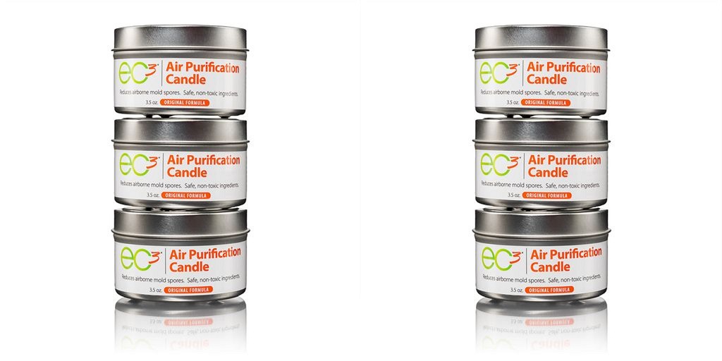 Why It’s So Hard to Get Rid of Mold