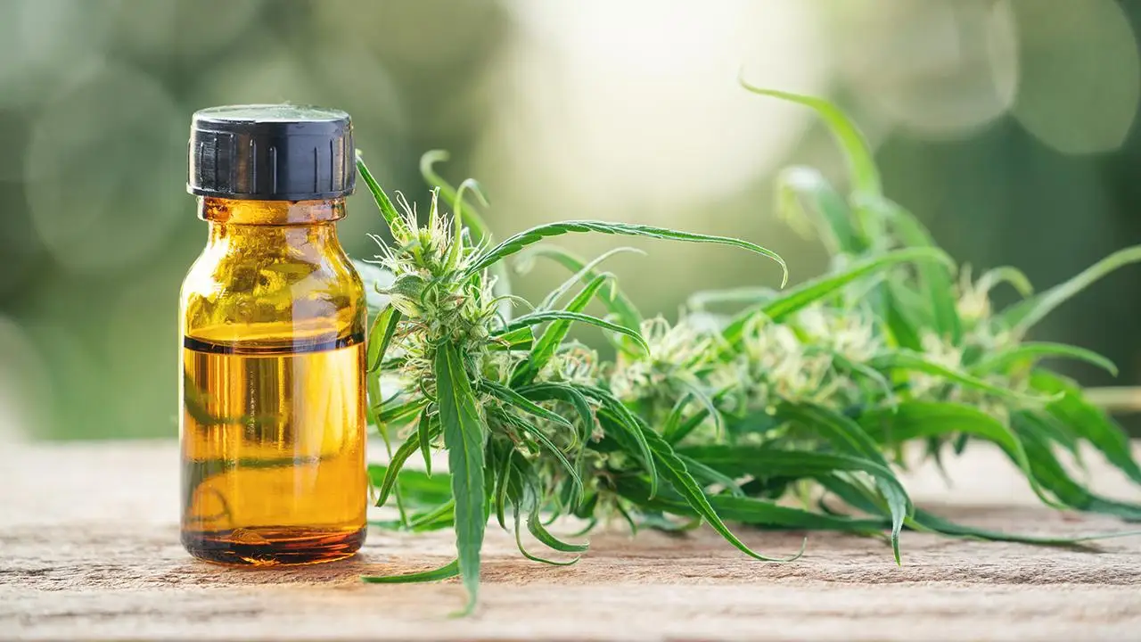 Buy CBD Products in Pinellas Park