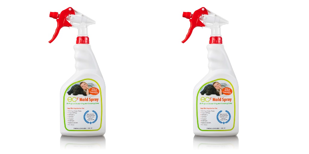 What’s Hiding in Your Children’s Playroom?