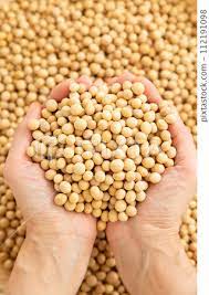 low temperature soy processing