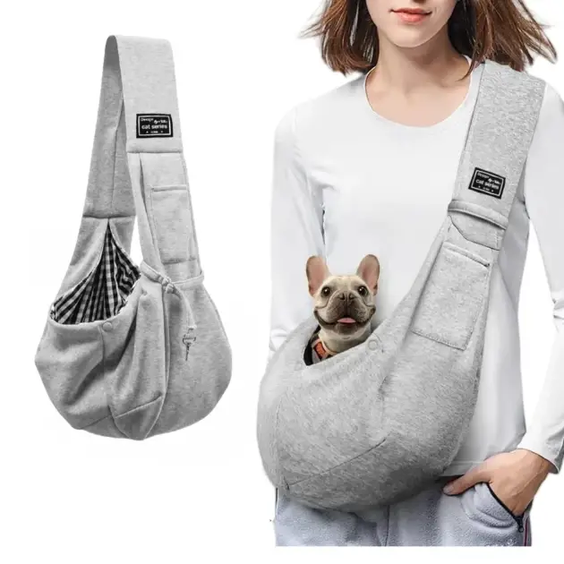 dog with a backpack
