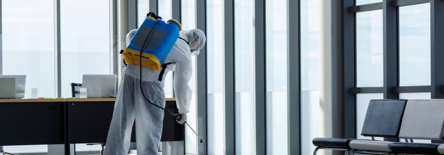Office Buildings Pest Control Lakewood