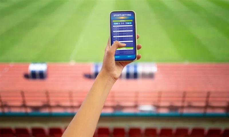 What Are the Key Features to Look for in a Popular Online Cricket Satta ID Provider