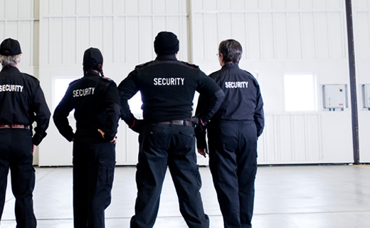 professional security services