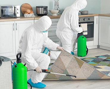 pest control in Toronto