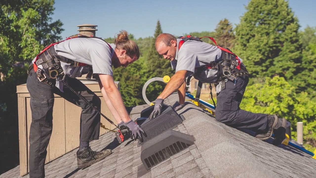 wildlife removal company Chesapeake