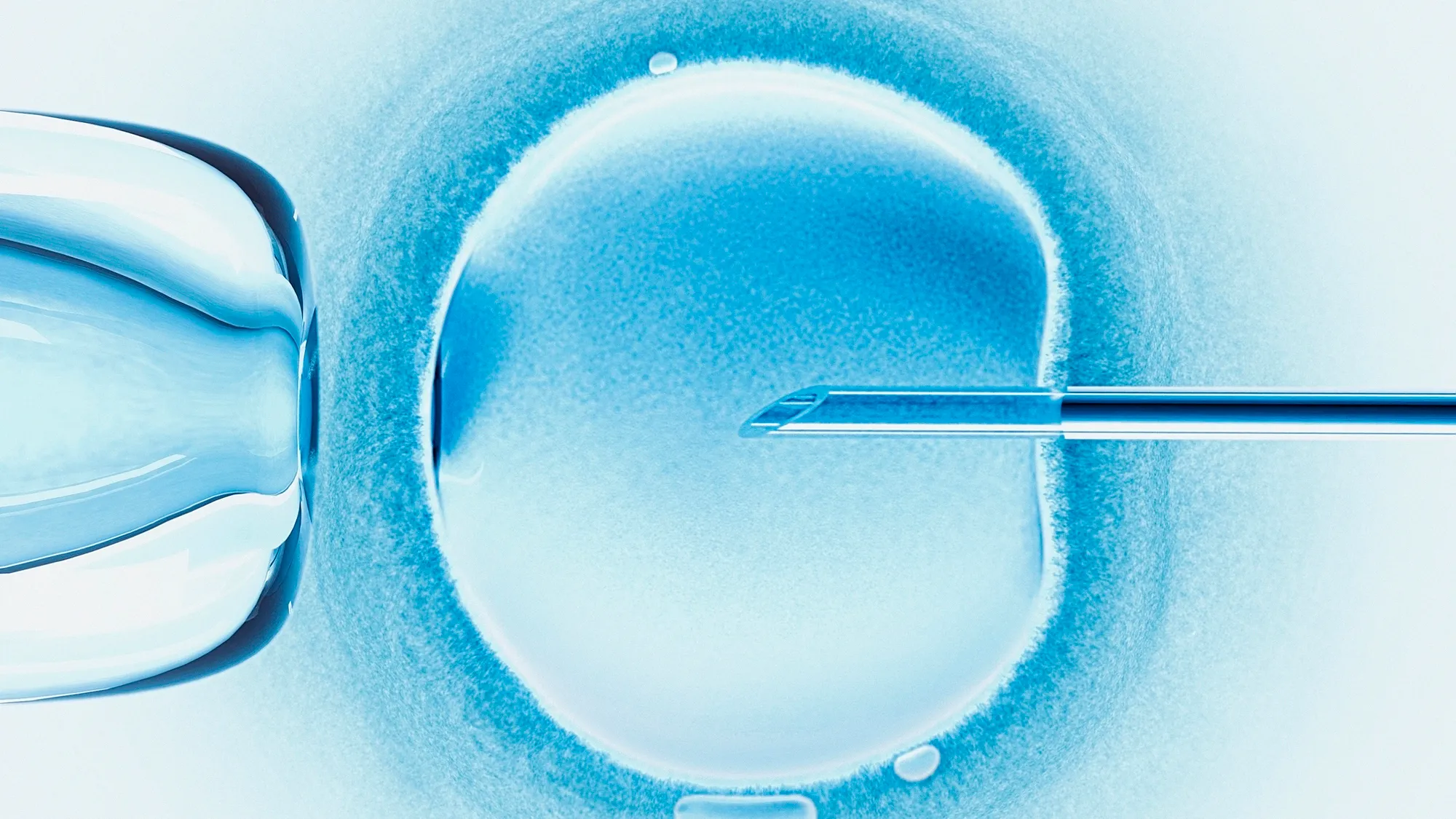 IVF Myths vs. Facts: Debunking Common Misconceptions