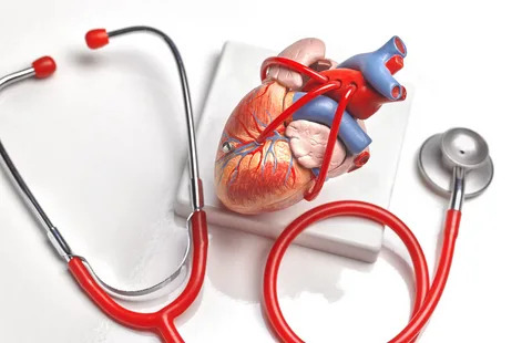Cardiovascular Devices Market 