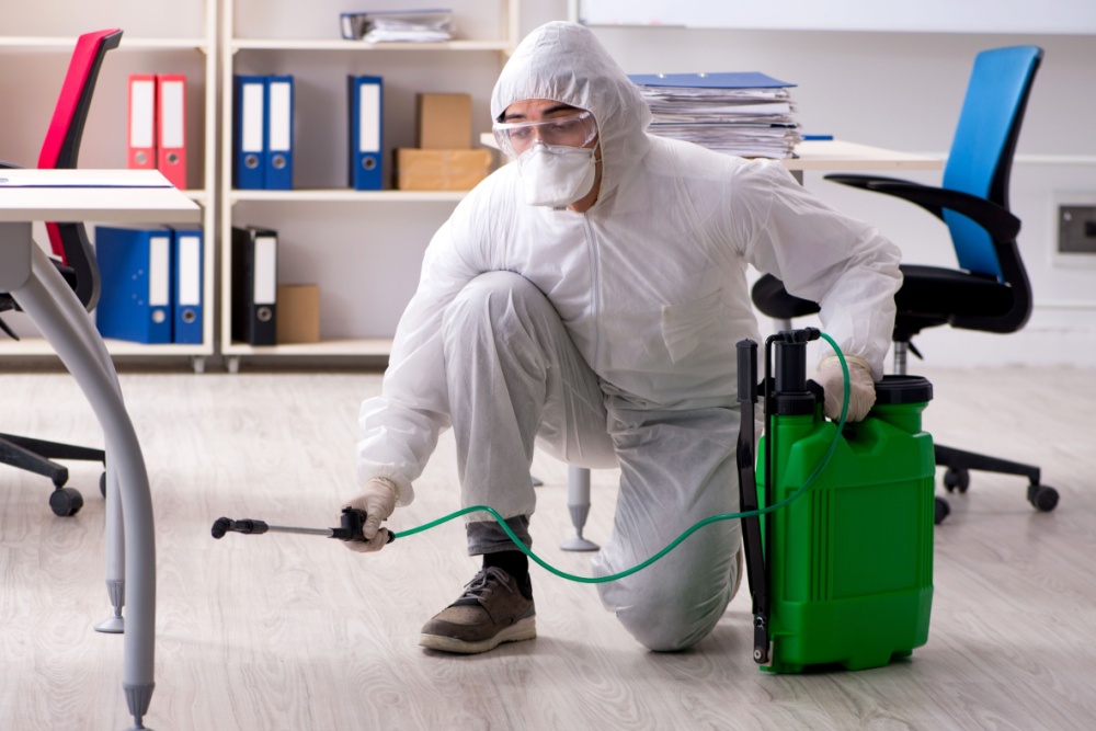 Office Buildings Pest Control Lakewood